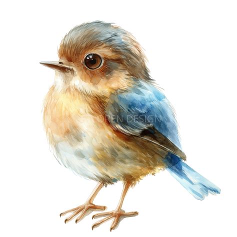 Watercolor Cute Animals, Watercolor Birds Easy, Watercolor Birds Paintings, Watercolor Birds Tutorial, Birds Nests, Blue Bird Art, Bird Illustrations, Bird Watercolor Paintings, Watercolor Birds