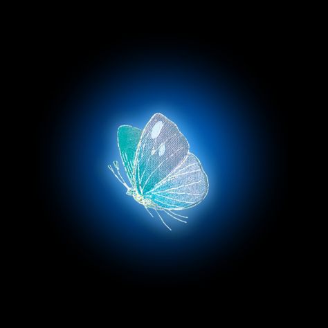 Glowing Butterfly, New Png, Butterfly Photo, Butterfly Png, Photoshop Digital Background, Blurred Background Photography, फोटोग्राफी 101, Blur Background Photography, Pink Background Images