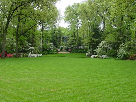 Mansion Backyard Garden, Huge Backyard Garden, Big Garden Design Landscaping, Large Lawn Landscaping, Big Back Garden, Dream Garden Modern, House With Big Garden, Large Garden Landscaping, Large Garden Design