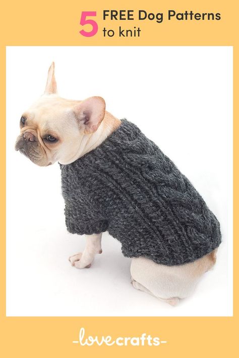 Make sure your dog looks dapper and stays warm whatever the weather with these 5 FREE adorable dog sweater knitting patterns! Knitting Patterns For Dogs, Knitted Dog Sweater Pattern, Kat Haken, Knitting Patterns Free Dog, Dog Patterns, Dog Sweater Pattern, Crochet Dog Sweater, Bulldog Francese, Lion Brand Wool Ease