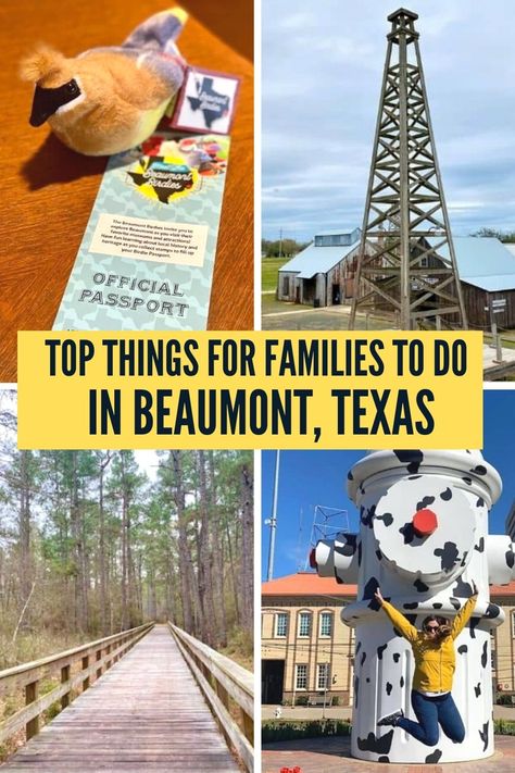 Day Trips From Houston, Texas Vacation Spots, Adventure Mom, Beaumont Texas, Texas Vacation, Explore Texas, Texas Adventure, Travel Texas, National Parks America