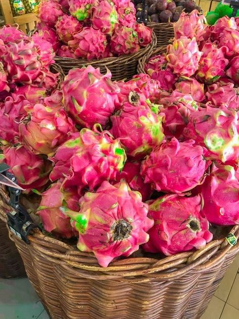 Dragon Fruit Wallpaper Aesthetic, Buah Naga Aesthetic, Rasberries Aesthetic, Pink Fruit Aesthetic, Pitaya Aesthetic, Dragon Fruit Photography, Dragonfruit Aesthetic, Dragon Fruit Aesthetic, Grow Dragon Fruit