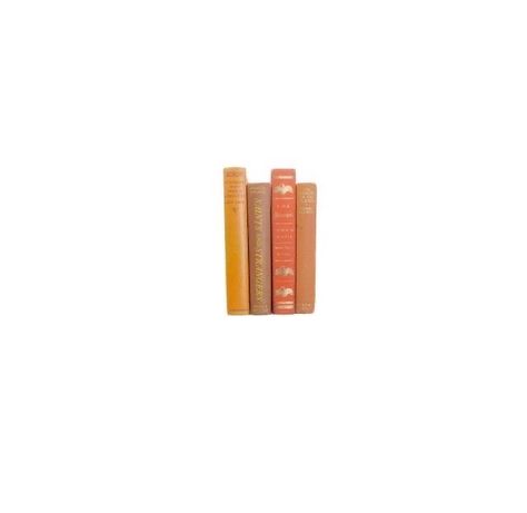 Orange Aesthetic Icon, Chidi Anagonye, Orange Books, Orange Png, All White Background, Pngs For Moodboards, Orange Icons:), Orange Book, Book Spine