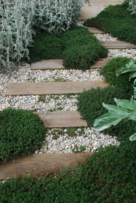 Walkways Ideas, Taman Diy, Backyard Walkway, Jardim Diy, Garden Stepping Stones, Landscape Products, Plants Growing, Desain Lanskap, Gravel Garden