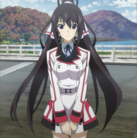 Tatenashi Sarashiki, Houki Shinonono, Priestess Costume, Infinite Stratos, Robin Cosplay, Warrior Girl, All Anime, Character Outfits, Girl Drawing