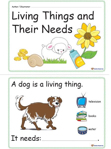 A printable concept book for children to identify what living things need and become authors and illustrators of their own little books. What Do Animals Need Kindergarten, Needs Of Living Things Kindergarten, What Animals Need To Live Kindergarten, Living And Non Living Things Worksheets, English Conversation For Kids, The Very Hungry Caterpillar Activities, Cycle For Kids, Living And Nonliving, Posters Classroom