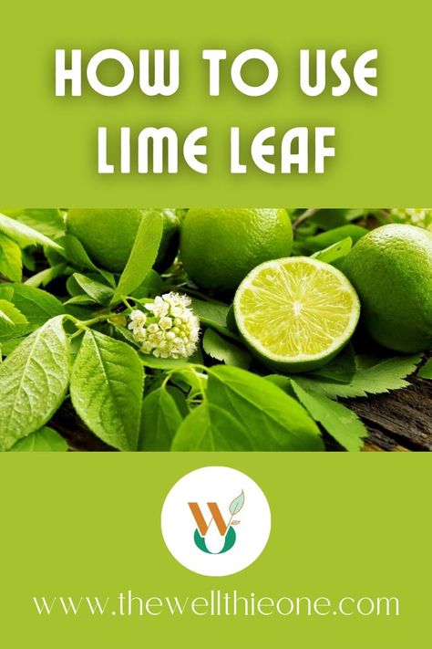 How to Use Lime Leaf, Where to Find It, and 10 Health Benefits Lime Leaves Uses, Lime Leaf Recipe, Lime Leaves Recipe, Lemon Leaves Benefits, Lime Water Benefits, Mint Leaves Benefits, Mint Benefits, Drink Your Greens, Lime Tea