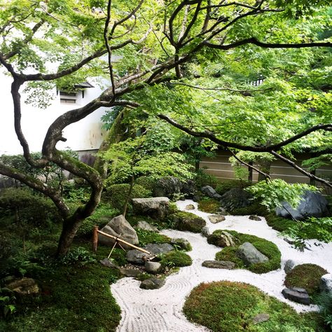 Outdoor Zen Garden, Japanese Courtyard Garden, Modern Planting, Sand Garden, Small Japanese Garden, Garden At Home, Zen Rock Garden, Japanese Garden Landscape, Japanese Tea Garden