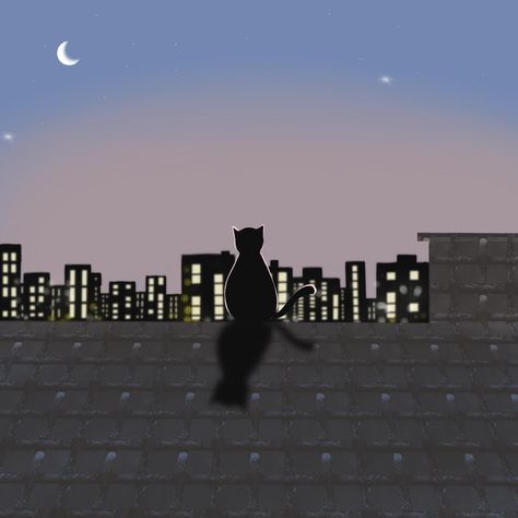 CHOOOTAH on Instagram: "A cat and the city of light. Learning to draw by watching YouTube @olivechoi2020, thank you for sharing🐱 #choootah #choootahillustrator…" City Night Drawing, City Lights Drawing, Night Drawing, Learning To Draw, City Night, Cat Drawing, City Life, Learn To Draw, City Lights