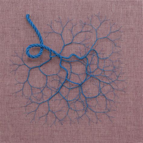 Unbraided Rope Installations by Janaina Mello Landini - Branch Like Roots and Nervous Systems | Colossal Art Fibres Textiles, Art Fil, Systems Art, Colossal Art, Modern Crafts, Pola Sulam, Textile Fiber Art, Thread Art, Tree Roots