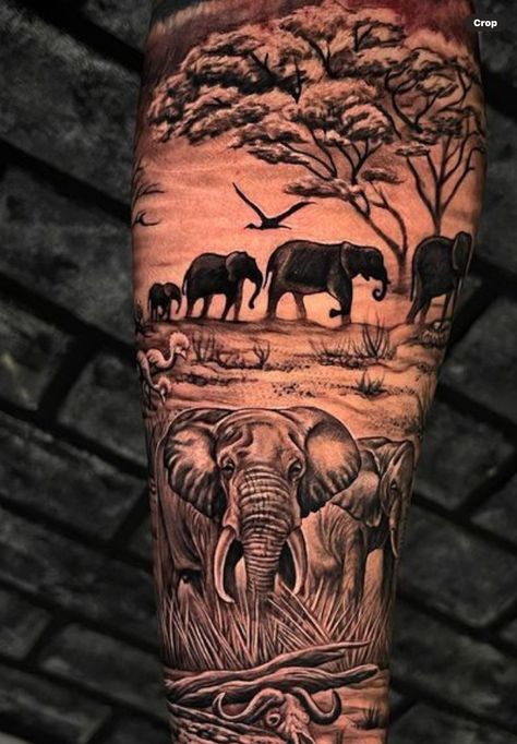 Elephant Africa Tattoo, Safari Half Sleeve Tattoo, Animal Leg Sleeve Tattoo Men Full, Elephant Safari Tattoo, African Safari Tattoo Sleeve, Safari Animal Tattoos Sleeve, Jungle Scene Tattoo, Shoulder Tattoo Animal, Safari Sleeve Tattoo Women