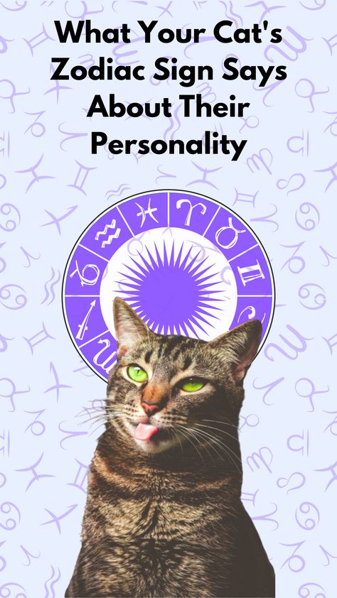 Cat Astrology, Cat Behavior Facts, Cat S, Cat Behavior, Do You Really, Do Something, Star Signs, Pet Owners, Understanding Yourself