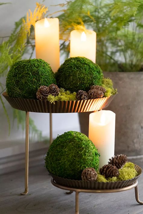 Moss Centerpieces, Garden Room Ideas, Moss Decor, Decorative Balls, Wedding Display, Moss Balls, Moss Garden, Preserved Moss, Tiered Trays