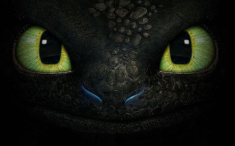 How to Train Your Dragon 2 Wallpaper HD Collection Flower Drawing Tumblr, Cool Wallpapers For Laptop, Cool Wallpapers For Computer, Toothless Wallpaper, Cool Wallpapers For Pc, 1366x768 Wallpaper, Computer Wallpaper Hd, 1366x768 Wallpaper Hd, Pc Desktop Wallpaper