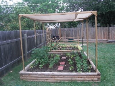 Sun_Screen Shade Cloth Garden, Florida Gardening, Grow Food, Sun Screen, Veg Garden, Shade Cloth, Plants Garden, Vegetable Gardening, Garden Boxes