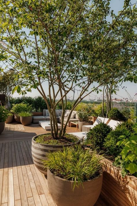 Elevate your home decor with these stylish roof deck designs that combine functionality and aesthetics. Perfect for homes of all sizes!  Don't forget to like, share, and subscribe to Animal Knowledge and Care Network for more home improvement tips and design ideas.  Hashtags: #RoofTerraceDesign #RooftopIdeas #HomeDecor #RoofDeck #OutdoorSpaces #GardenDesign #ModernLiving #DIYDecor #HomeImprovement #StylishLiving Italian Terrace Garden, Terrace Roof Design, Minimalist Terrace, Roof Deck Garden, Penthouse Garden, Terrace Design Ideas, Design Terrace, Terrace Roof, Design For House