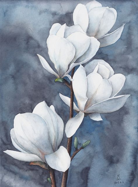 Magnolia on Behance Paintings Of Magnolias, Magnolia Art Acrylic Paintings, Magnolia Flower Painting Acrylics, Magnolia Tree Art, Floral Illustrations Botanical, Magnolia Artwork, Magnolia Flower Drawing, Magnolia Background, Acrylic Art Flowers