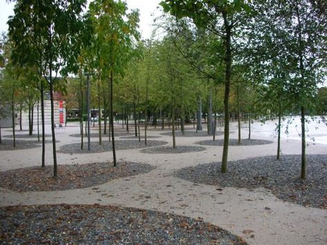 Bregenz Opera House - Grove of Trees Landscape Architecture Park, Tree Grove, Canopy Bedroom, Backyard Canopy, Wedding Canopy, Urban Forest, Garden Canopy, Diy Canopy, Patio Canopy