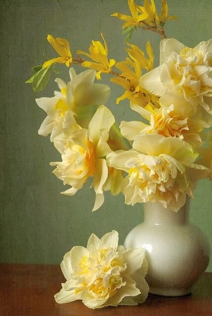 Colorful Roses, White Vase, Deco Floral, E Card, Arte Floral, Mellow Yellow, Shades Of Yellow, Beautiful Blooms, Ikebana