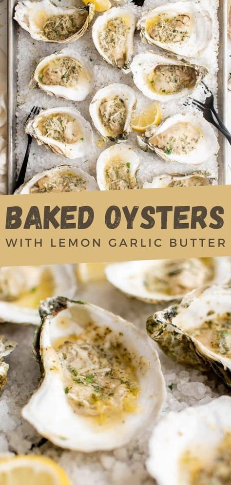 Baked Oysters are a great appetizer for entertaining or as a main meal. They're easy to prepare and are made with lemon garlic butter. Make them for your next party or holiday meal! Garlic Parmesan Oysters, Baked Oyster Recipes No Shell, Garlic Butter Oysters, Oyster Meal Ideas, Healthy Oyster Recipes, How To Make Oysters, How To Cook Oysters In The Shell, Oven Baked Oysters, How To Prepare Oysters