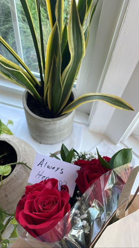 Surprise roses, flowers from boyfriend, red roses, cute surprise, boyfriend, relationship goals Surprise Flowers From Boyfriend, Roses From Boyfriend, Flowers From Boyfriend, Boyfriend Relationship Goals, Surprise Flowers, Surprise Boyfriend, Cute Surprises, My Boy, Summer 2022