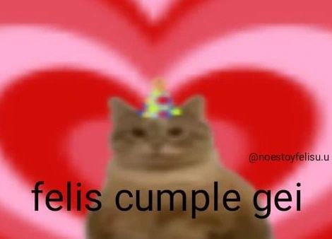 Silly Happy Birthday, Stickers Random, Frases Random, Party Cat, Spanish Memes, Cat Party, Cute Memes, Funny Reaction Pictures, Meme Faces