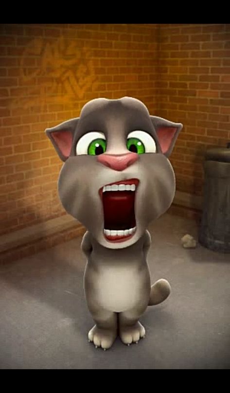 Talking Tom Big Mouth 2 Cat Big Mouth, Talking Tom Cat 2, Tom Meme, Big Pitbull, Talking Tom Cat, Dinosaur Age, Tom Cat, Disney Trip Planning, Cat Talk