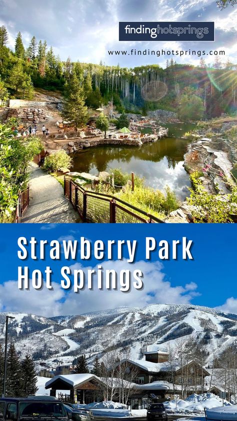 Strawberry Park Hot Springs - The Ultimate Guide to Strawberry Hot Springs Strawberry Springs Colorado, Steamboat Springs Colorado, Clothing Optional, Starry Nights, Steamboat Springs, Hot Spring, Steam Boats, After Dark, Hot Springs