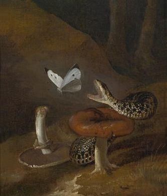 Horror Inspiration, Snake Painting, Snake Art, Mushroom Art, Old Paintings, A Snake, Ethereal Art, Ancient Art, 17th Century