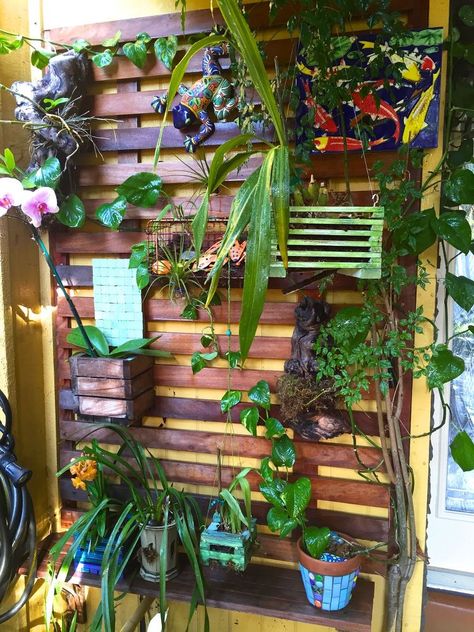 Building a Vertical/Orchid Garden Wall Orchid Stand Outdoor, Outdoor Orchid Display Ideas, Orchid Wall Garden, Orchid House Ideas, Orchid Setup, Displaying Orchids, Mounting Orchids, Orchid Garden Ideas, Orchid Walls