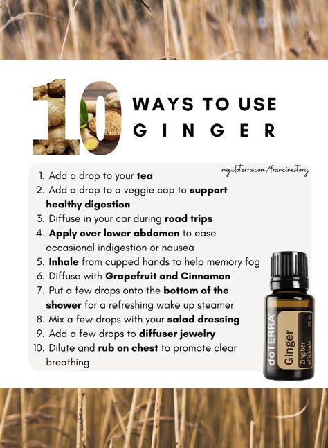 Ginger Essential Oil Uses, Ginger Essential Oil Benefits, Ginger Oil Benefits, Doterra Ginger, Digestive Aid, Ginger Plant, Essential Oil Companies, Ginger Benefits, Ginger Essential Oil