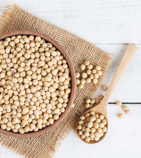 What Are The Health Benefits Of Soybeans + Nutrition Facts Soybean Benefits, Beetroot Juice Benefits, Turmeric Milk Benefits, Beetroot Benefits, Turmeric Milk, Soy Beans, Soya Bean, Organic Bath Products, Essential Oil Scents