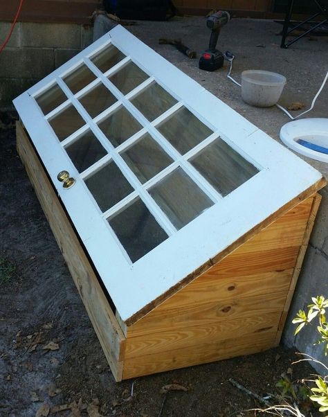 Serre Diy, Diy Mini Greenhouse, Diy Greenhouse Plans, Jardim Diy, Backyard Greenhouse, Greenhouse Plans, Diy Greenhouse, Mini Greenhouse, Veg Garden