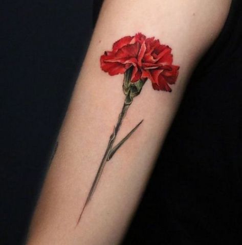 Red Carnations Tattoo, Daisy Carnation Tattoo, Carnation Tattoo Sleeve, Red Carnation Tattoo, Carnation Tattoo Design, Carnation Tattoos, March Tattoo, Honeysuckle Tattoo, Carnation Flower Tattoo