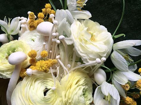 Textural diversity. Floral Arrangements With Mushrooms, Mushroom Flower Arrangements, Mushroom Floral Arrangement, Mushroom Wedding Bouquet, Mushroom Arrangement, Mushroom Bouquet, Mushroom Wedding, 2023 Bujo, Flower Boquet