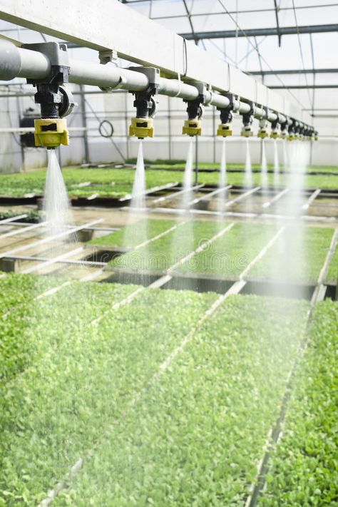 Earth Superpower, Watering Seedlings, Agriculture Pictures, Aqua Farm, Greenhouse Farming, Commercial Farming, Farming Technology, Garden Watering System, Indoor Farming