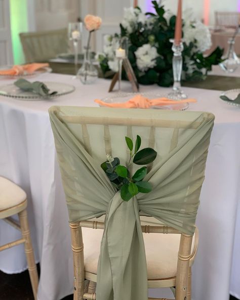 Sage Green Wedding Chairs, Sage Green Chair Sash, Sage Wedding Decor, Wedding Reception Chair Decorations, Green House Wedding, Gold Wedding Chairs, Sage Wedding Colors, Wedding Reception Chairs, Green Quinceanera Dresses