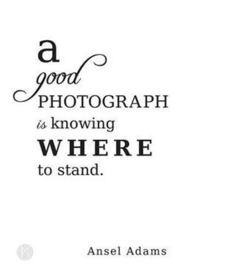 The right angle means everything! Good Photography, Photography Quotes, Quotes About Photography, Ansel Adams, Photo Quotes, Photography Tutorials, Photo Tips, Outdoor Photography, Love Photography