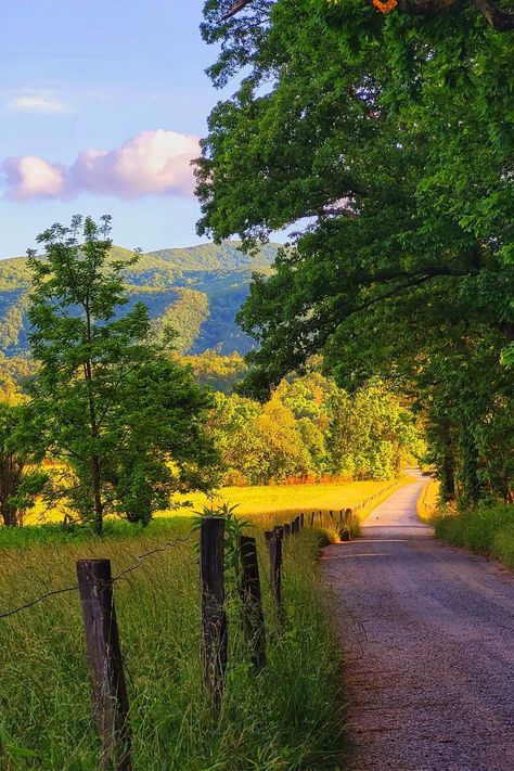 One Love Photography. Hyatt Lane. Cades Cove, TN, 5/28/24. Cades Cove, One Love, Reference Photos, Love Photography, First Love, Photography