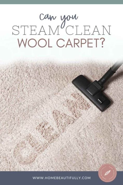 Cleaning Wool Rugs Diy, Cleaning Wool Rugs, How To Clean A Wool Rug At Home, How To Clean A Wool Rug, Rug Cleaning Solution, Clean Wool Rug, Best Steam Cleaner, Steam Clean Carpet, Removing Carpet