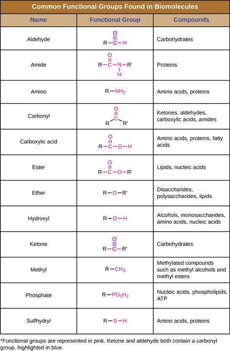 Organic Molecules Biology, Basic Organic Chemistry, Biological Molecules Notes, Biomolecules Notes Chemistry, Inorganic Chemistry Notes, Functional Groups Organic Chemistry, Biological Molecules, Organic Chemistry Notes, Organic Chem