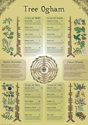 Irish Ogham, Tree Ogham, Witch Potions, Poster Infographic, Celtic Paganism, Celtic Pagan, Mystical Symbols, Nordic Runes, Magia Das Ervas