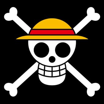 Jolly Roger | One Piece Wiki | Fandom Luffy Flag One Piece, T Shirt Roblox Luffy, One Piece Jolly Roger Flags, One Piece Flag Logo, One Piece Sign, Luffy Flag, Barba Blanca One Piece, One Piece Jolly Roger, One Piece Flag