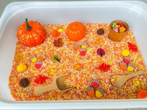 Fall Sensory Bin, Fall Sensory, Taste Safe, Montessori - Etsy Pumpkin Theme Sensory Bin, Individual Sensory Bins, Emotion Sensory Bin, Trees Sensory Bin, Orange Activities For Toddlers, Pumpkin Sensory Bin, Autumn Sensory Bin, Halloween Sensory Bin, Classroom Aesthetic