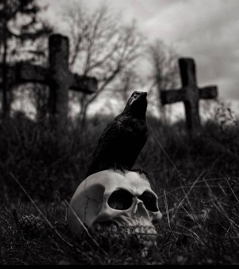 Beautiful photography from marcellowouw💀 #attitudeclothing #goth #gothic #gothique #gothgoth #nugoth #dark #darknature #darkness #gloomy #gothic #black #darkart #decay #skull #skulls #crow #abandoned #cemetery #dark #graveyard #sombre #goth #horror #darkside #creepy #spooky #beautiful #art #moody Cemeteries Photography, Angel Demon, Moody Photography, Gothic Tattoo, Witchy Wallpaper, Dark Pictures, Dark Soul, Gothic Aesthetic, Goth Art