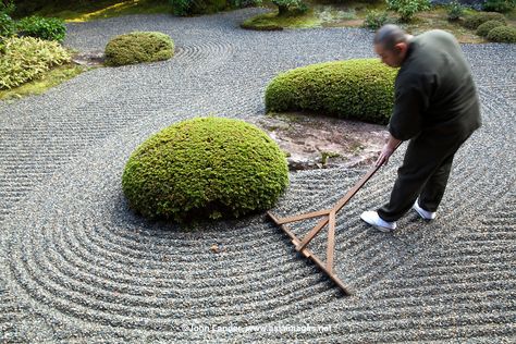 Japanese Rock Garden, Zen Rock Garden, Japanese Garden Landscape, Zen Garden Design, Garden Rake, Japanese Zen Garden, Zen Gardens, Japan Garden, Dry Garden