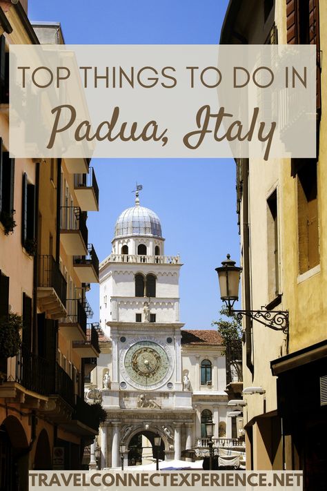 Bucket List Italy, Day Trips From Venice, Italy Vacation Itinerary, Towns In Italy, Padova Italy, Italy Bucket List, Interesting Activities, Padua Italy, Italy Culture