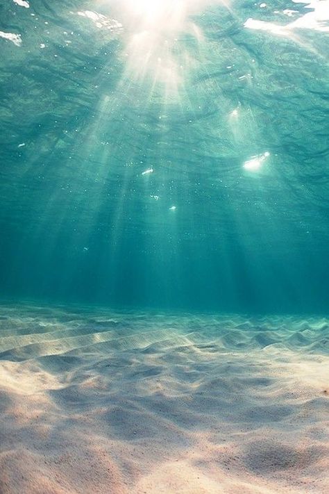 wallpaper underwater phone iphone No Wave, Foto Bawah Air, شرم الشيخ, Fotografi Urban, Belle Nature, Whatsapp Wallpaper, Lily Evans, Wallpaper Tumblr, Jolie Photo