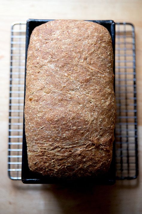 Rye Sandwich Bread, Marble Rye Bread, Milling Flour, Alexandra Cooks, Homemade Rye Bread, Rye Bread Recipes, Bread From Scratch, Yeast Recipes, Artisan Breads