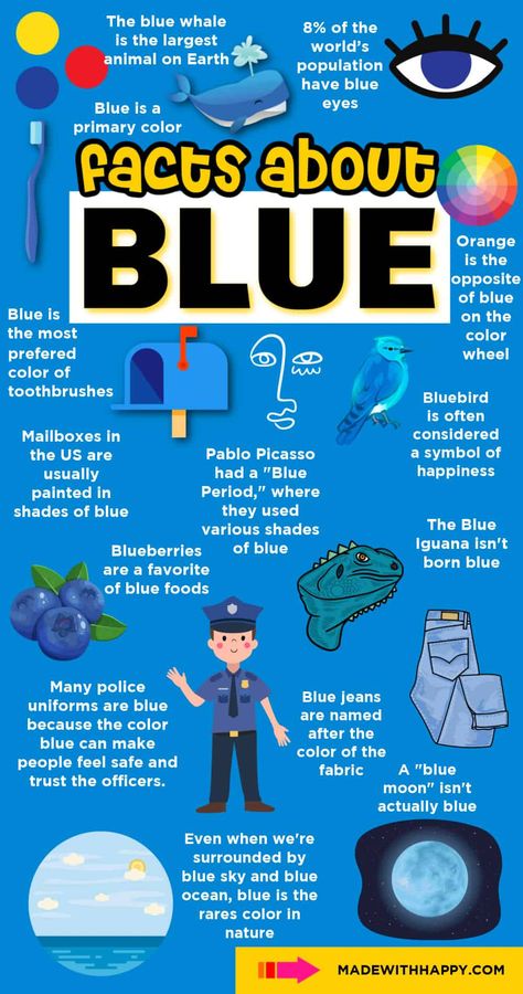 Discover cool facts about the color blue! Learn why the sky is blue and more fun info. Dive into the world of blue! Fun Facts For Kids, Classroom Charts, Cool Facts, Fun Classroom Activities, The Color Blue, Fact Of The Day, Korean Language Learning, Intresting Facts, Facts For Kids